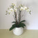 Designer's Choice | Orchid Arrangement