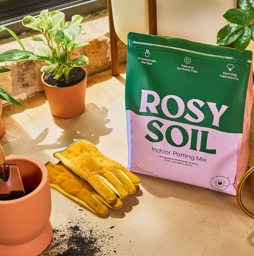 Rosy Soil Indoor Potting Mix