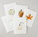 Autumn Notecard Set