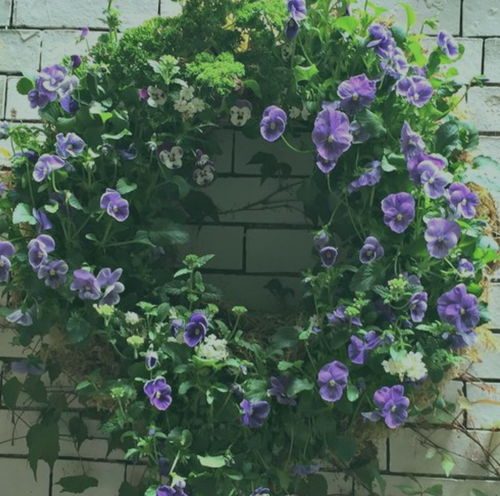 Spring Living Wreath Workshop | 4/5